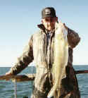 lake erie charter fishing.jpg (11140 bytes)